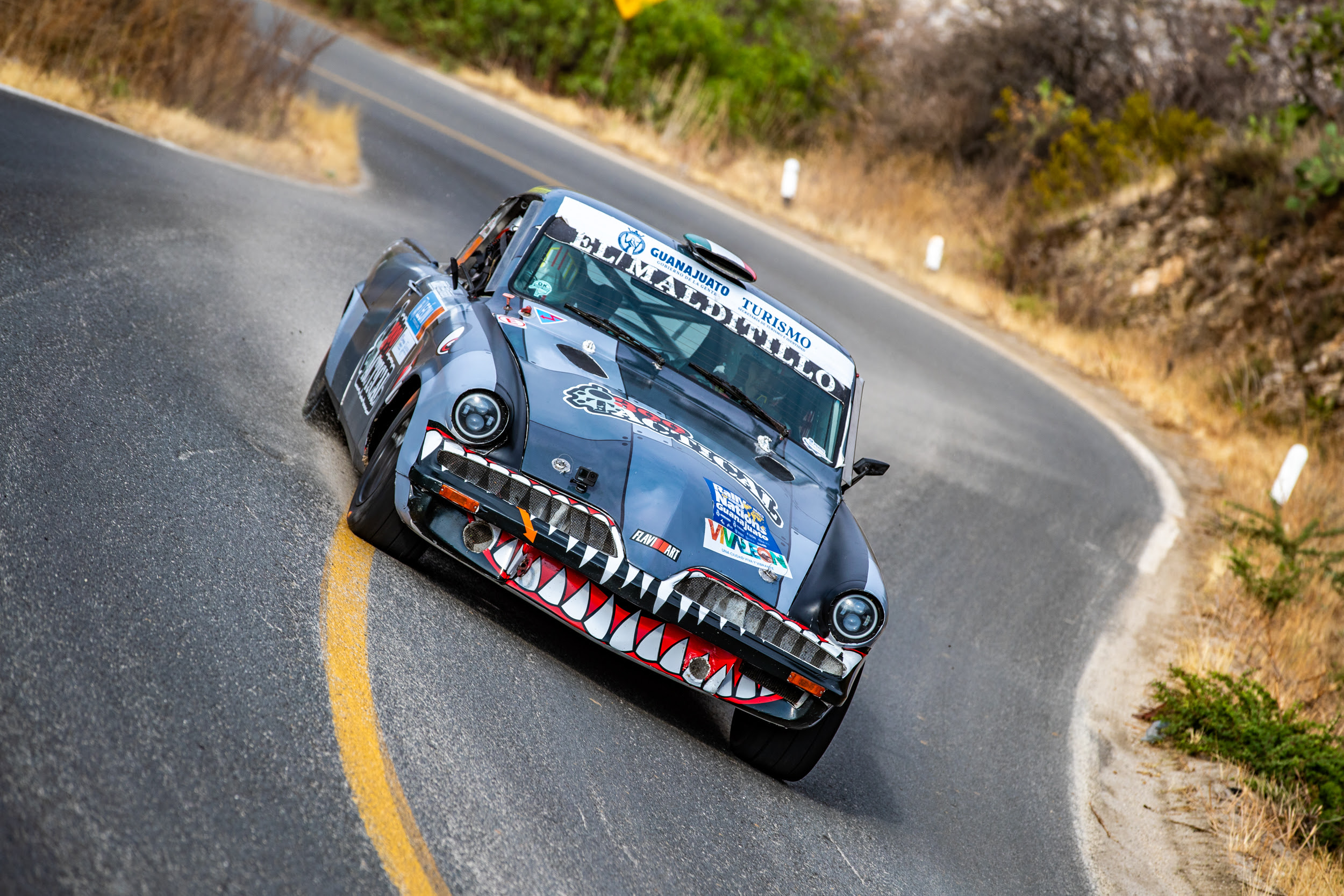 La Carrerera Panamericana